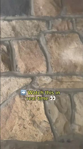 Satisfying Real-Time Stone Cleaning 😳🧱 Fireplace Wall Transformation | No Cuts!