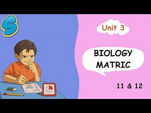 Grade 11 Biology Unit 3 EUEE questions!
