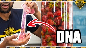 We tried extracting pure DNA from 25 pounds of strawberries