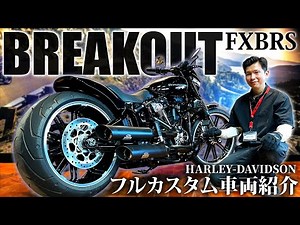 [Over 4.5 million yen in total!?] Introducing a fully customized breakout vehicle! [Harley-Davids...