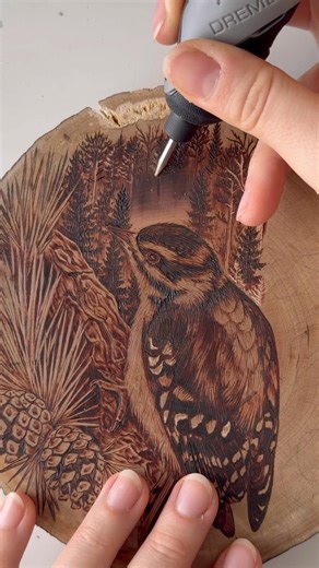I just love birds #pyrography #woodburning #natureart