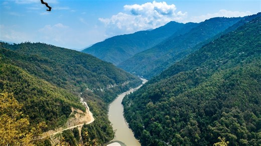 Fish species thought to be extinct for 85 years rediscovered