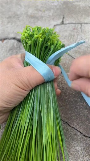 Vegetable barrier strategy works well for farmers