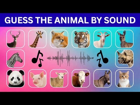 Guess the Animal by Its Sound 🔊 | 50 Animal Sound Quiz for Kids & Adults | Quiz Bunnies