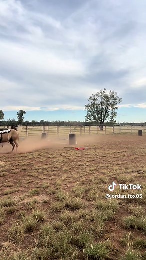 Horse Jumping Fails: Slip and Fall Moments