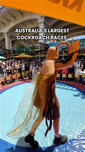 [ NEWS ] Australia’s Largest Cockroach Races Just Took Over Brisbane 🪳🔥
