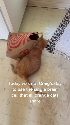 Craig on TikTok