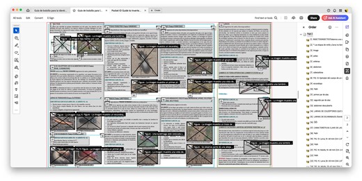 Alt-text not exporting from InDesign to Acrobat consistently