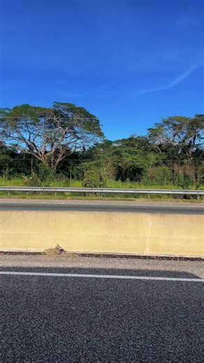 DBJ went on the M5 Business Recovery Tour in St. Elizabeth, and one of our stops was Jake’s Hotel in Treasure Beach. This beloved hotel has been serving guests for 32 years and, like many businesses in the area, has faced challenges due to the recent hurricane. During the tour, we also met with other local business owners, hearing their stories of resilience and the obstacles they’ve had to overcome. These conversations reinforced why the M5 Programme is so important—it’s designed to support bus