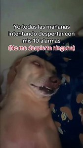 POV: Pones 10 alarmas… y NO te despierta ninguna 😭⏰ #shorts #dormir #humor #insomnio #sueño
