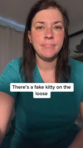 worldclasskitty (@worldclasskitty)’s videos with original sound - worldclasskitty