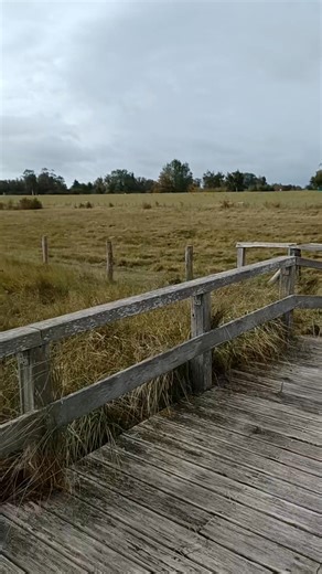 Sonniger Tag in #rosenfelde, aber windig. Dafür ist der Strand gerade sehr schön | FKK = DFK - Deutscher Verband für Freikörperkultur e.V.