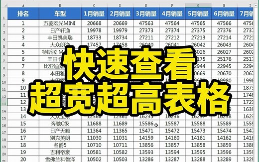 如何设置能快速的查看超高超宽的Excel表格？