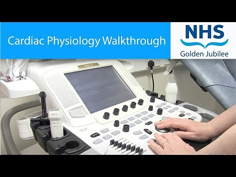 Cardiac Physiology Walkthrough