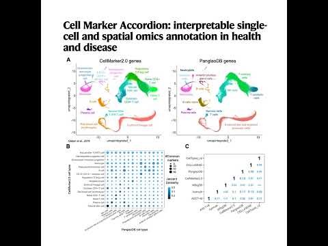 115-Cell Marker Accordion: interpretable single-cell
