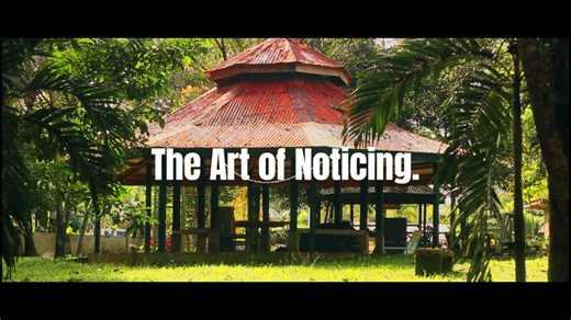 Filming myself cinematically. PART 4 Shoot with the Canon 3000D #cinematic #cinematography