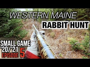 RABBIT HUNTING with beagles | MAINE Snowshoe Hare Hunting