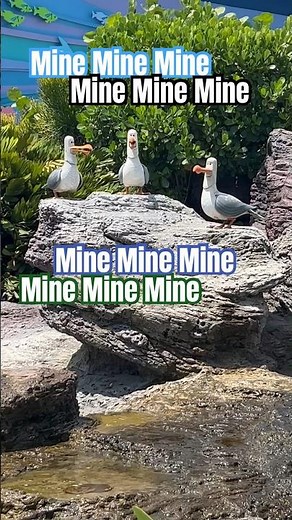 Mine Mine Mine Seagulls @ Finding Nemo Ride in Epcot Center #epcotcenter #waltdisneyworld #nemo