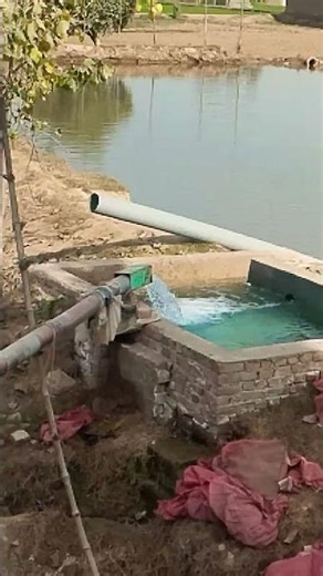 Quran recitation #quranictranslation #quranshorts #islamic #viral #shorts | @Rmijobs