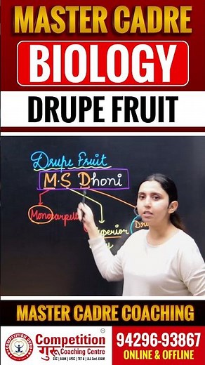 Drupe Fruit Explained | Master Cadre Biology Coaching in Chandigarh | Master Cadre Coaching