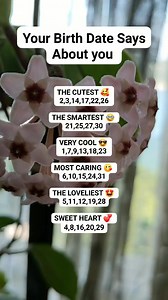 Your Birth Date Says About you 🤩😍 #birthdate #BirthdateSecrets #birthdatepersonality #numerologyreading #birthdatenumerology #birthdatereading #fypシ゚viralシfypシ゚viralシalシ #fypシ゚viralシfypシ゚viralシalシfypシ゚viralシfypシ゚viralシalシ #followersreelsfypシ゚viralシfypシ゚viralシal | Kusina ni Abyang