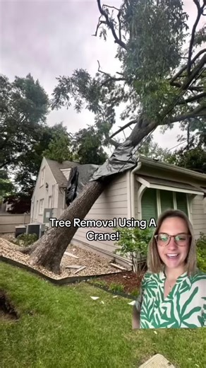 Thank you to Nick’s Tree Removal for all your help! #tulsaoklahoma #treeremoval #treeonhouse #woodchipper #oklahoma #tulsawindstorm