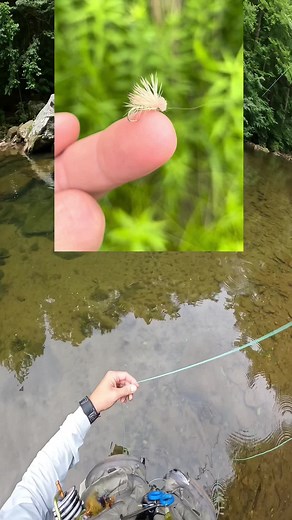 FlyFishDelawhere on TikTok