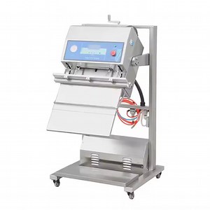 [Hot Item] Commercial Vertical Type External Vacuum Packing Machine, Nozzle Vacuum Sealing Machine