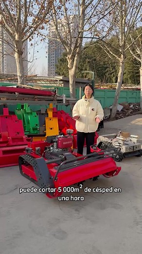 Cortadoras de césped en stock en Europa