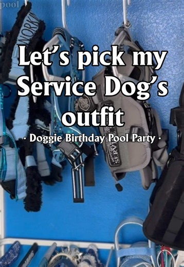 Service Dog at a Pool Party: GRWM & Prep Tips