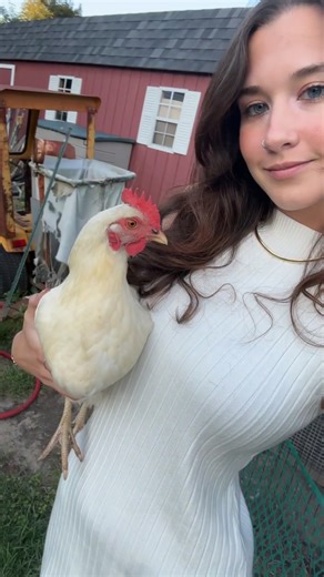 #chicken #dressy #fyp