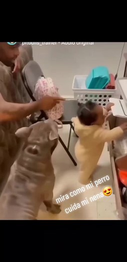 Child and Dog Bonding Moments at Home