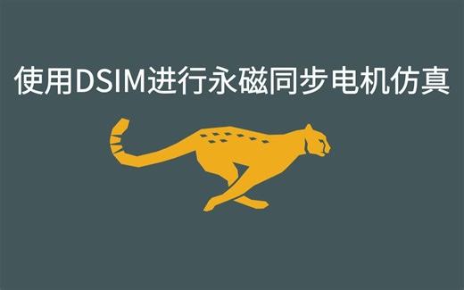 使用DSIM进行永磁同步电机仿真