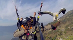 Why we're excited about PBS' wild new series