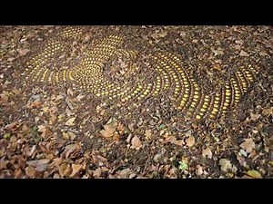 ITV 1 Idents: ITV Creates | 2019 - 2022 | 26