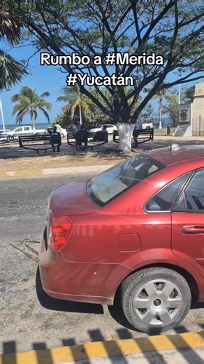#Merida #Yucatán | Grupo Trigo Verde