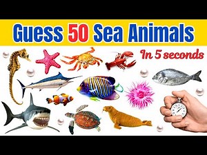 Guess the 50 Sea Animals Challenge for Kids and Toddlers | Fun Sea Animals Quiz & Learning Game