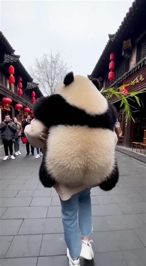 Who said we ride pandas to school? Okay fine, we actually carry them shopping! 😎🐼 #Panda #Sichuan #ChinaLife #PandaLover #funny