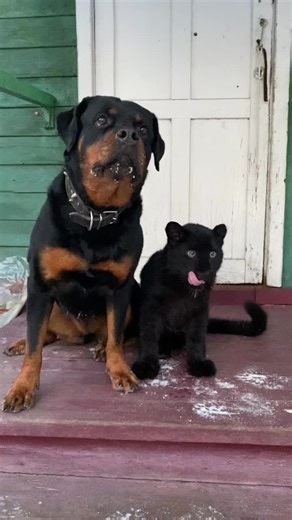 My little friend ❤️