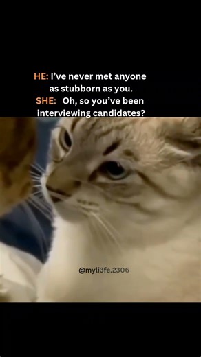 He really thought "stubborn" was the right word to use while already in trouble. Bold move.