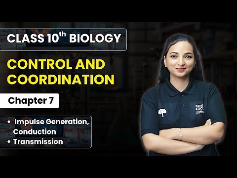 Control and Coordination - Impulse Generation, Conduction & Transmission | Class 10th Biology Ch 7