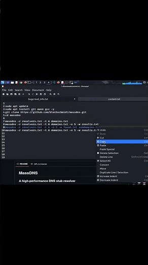 MassDNS Advanced Tutorial: High Performance DNS Brute Force for Hackers