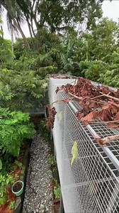 425K views · 6.7K reactions | design bird challenges so that they will not get bored | Myko's Aviary | Facebook