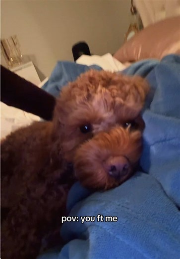 he’s just so cute tho