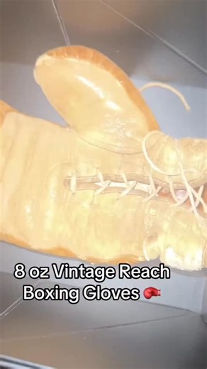 Alfred “Fredo” Thomas III | Cruisin for a bruisin 😂 Subscribe to my YouTube with the link in my bio 🤙🏾 #fredotv #funny #comedy #jokes #reaction | Instagram