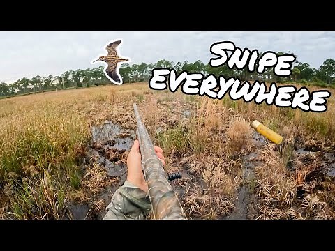 THE HARDEST BIRD TO HUNT! Snipe Hunting South Florida - Catch Clean Cook