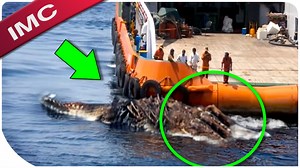 9.2M views · 200K reactions | Check this out....and please subscribe to the chanenl ! Link :https://www.facebook.com/becomesupporter/impossible.channel/ | Impossible Channel | Facebook