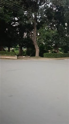 Banaras Hindu University campus # BHU