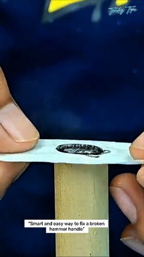 “Bring your broken hammer back to life with this simple repair trick! 💡✨ Follow for more clever DIY fixes that save your tools! 🔧 . . #DIYTools #SmartDIY #WorkshopHacks #LifeHackTools #CraftsmanIdeas #ToolTips #HandymanHacks #TrendingDIY #ToolRepair #CreativeHack** | Tricky Tips