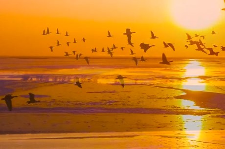 Nine provinces and regions along the Yellow River